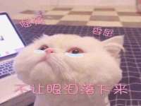 海口甘铵五金有限责任公司