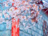 海口甘铵五金有限责任公司
