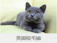 海口甘铵五金有限责任公司