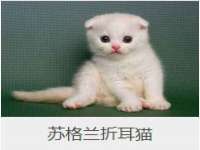 海口甘铵五金有限责任公司