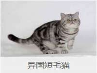 海口甘铵五金有限责任公司