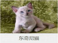 海口甘铵五金有限责任公司