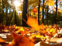 海口甘铵五金有限责任公司