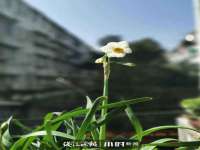 海口甘铵五金有限责任公司