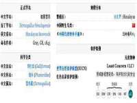 海口甘铵五金有限责任公司