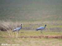 海口甘铵五金有限责任公司