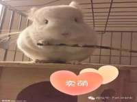 海口甘铵五金有限责任公司