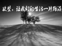 海口甘铵五金有限责任公司