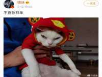 海口甘铵五金有限责任公司